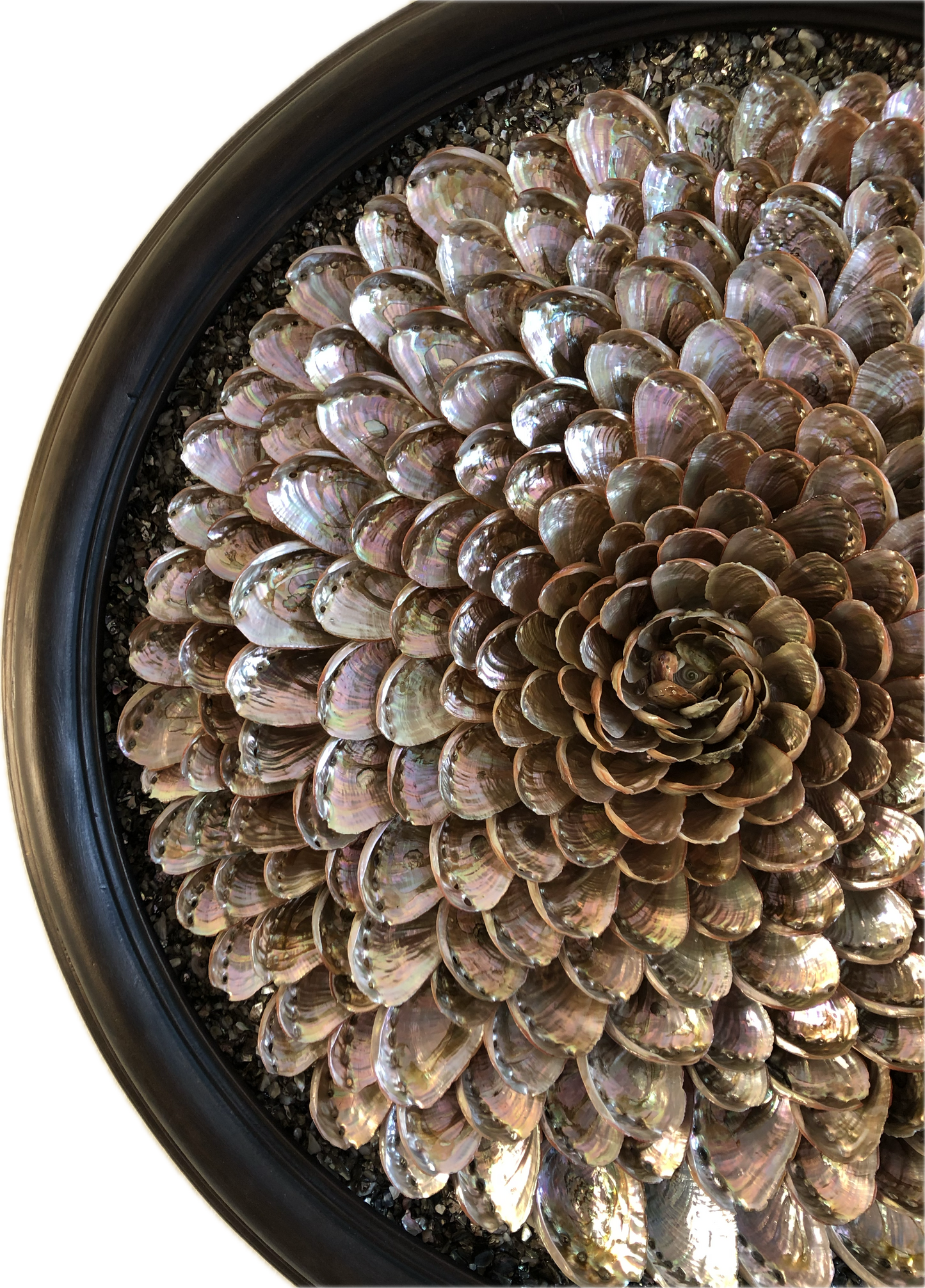 'Galene'