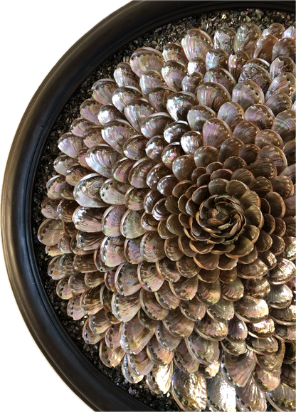 'Galene'
