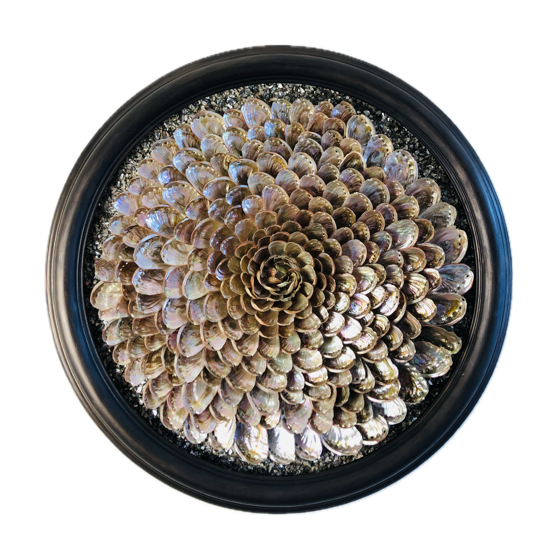 Rainbow Abalone Shell Artwork