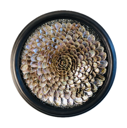 Rainbow Abalone Shell Artwork