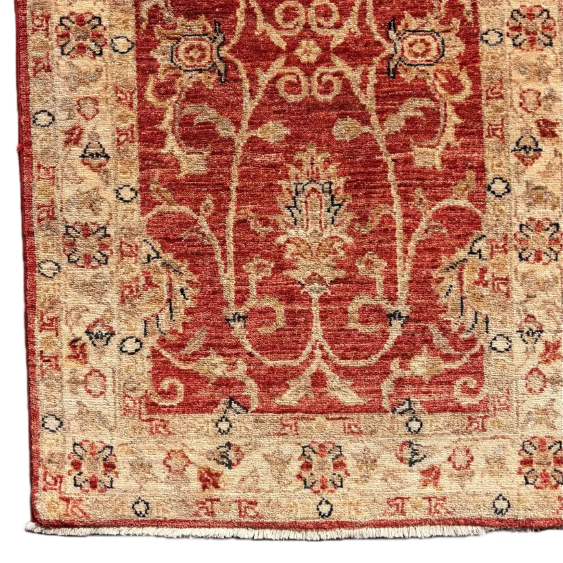 Close up of scrolling vine and palmette design on red ground